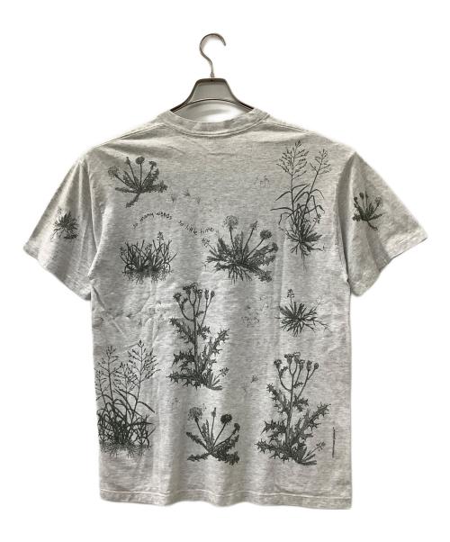 rel e vant products（レラバント プロダクツ）rel e vant products (レラバント プロダクツ) ダンデライオン 半袖Tシャツ グレー サイズ:XLの古着・服飾アイテム