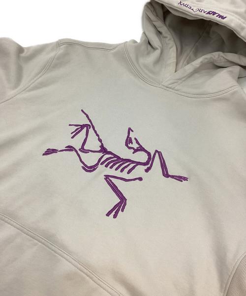 ARC'TERYX（アークテリクス）ARC'TERYX (アークテリクス) PALACE (パレス) コラボプルオーバーパーカ グレー サイズ:Mの古着・服飾アイテム