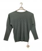 HOMME PLISSE ISSEY MIYAKEオム プリッセ イッセイ ミヤケ）の古着「長袖カットソー」｜グレー