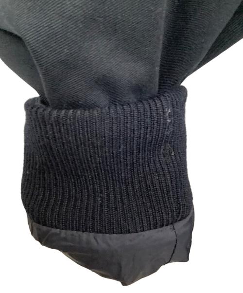 Pyrenex（ピレネックス）Pyrenex (ピレネックス) ボルドー ステッチレス ラクーンファー ダウンジャケット ネイビー サイズ:36の古着・服飾アイテム