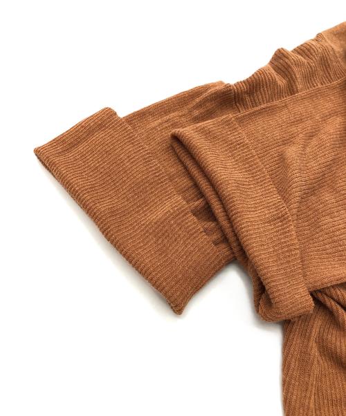 DEMYLEE（デミリー）DEMYLEE (デミリー) シアーショートスリーブニットワンピース ライトブラウン サイズ:SIZE Sの古着・服飾アイテム