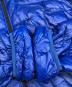 中古・古着 Patagonia (パタゴニア) マイクロ・パフ・フーディー ブルー サイズ:M：15000円