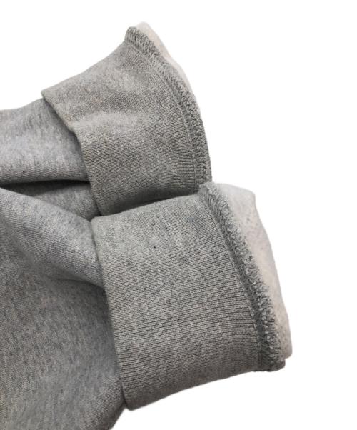 NIKE ACG（ナイキエーシージー）NIKE ACG (ナイキエーシージー) Graphic Hoodie AS ACG Dolphin グレー サイズ:SIZE Sの古着・服飾アイテム