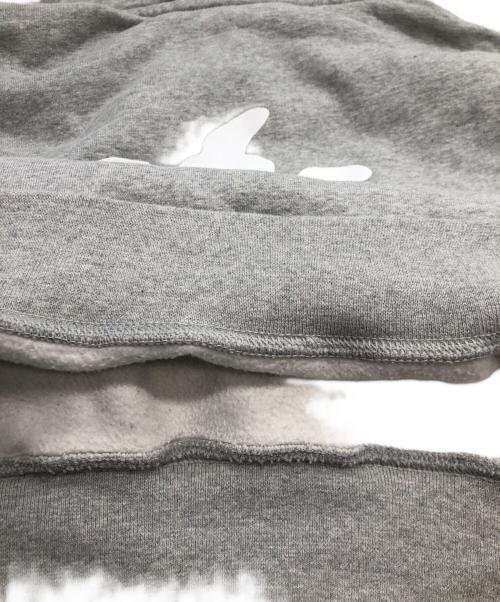 NIKE ACG（ナイキエーシージー）NIKE ACG (ナイキエーシージー) Graphic Hoodie AS ACG Dolphin グレー サイズ:SIZE Sの古着・服飾アイテム