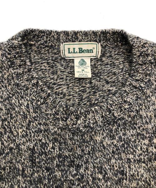 L.L.Bean（エルエルビーン）L.L.Bean (エルエルビーン) 厚手ニット グレー サイズ:SIZE Mの古着・服飾アイテム