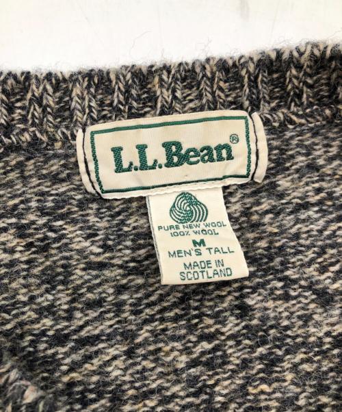 L.L.Bean（エルエルビーン）L.L.Bean (エルエルビーン) 厚手ニット グレー サイズ:SIZE Mの古着・服飾アイテム