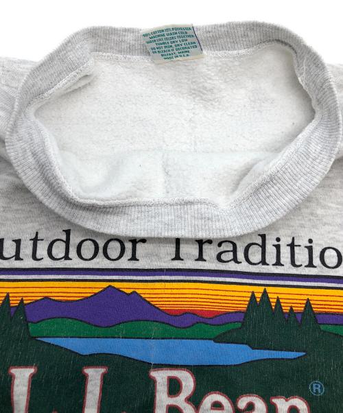 L.L.Bean（エルエルビーン）L.L.Bean (エルエルビーン) HARBORSIDE GRAPHICS グレー サイズ:SIZE Sの古着・服飾アイテム