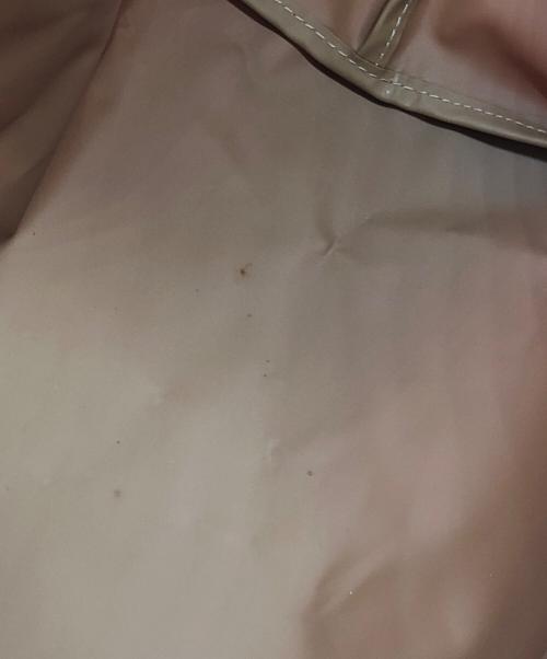 LONGCHAMP（ロンシャン）LONGCHAMP (ロンシャン) ルプリアージュ レッドの古着・服飾アイテム