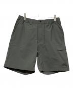 THE NORTH FACEザ ノース フェイス）の古着「マウンテンカラーショーツ」｜グレー