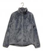 THE NORTH FACEザ ノース フェイス）の古着「フリースジャケット」｜グレー