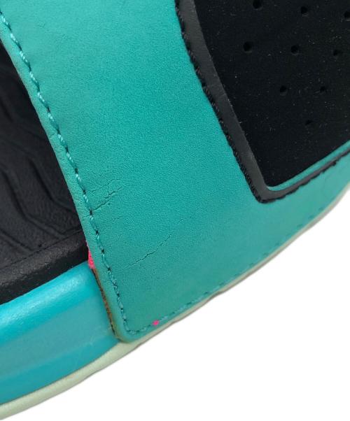 NIKE（ナイキ）NIKE (ナイキ) レブロンスライドサウスビーチ グリーン×ブラック サイズ:SIZE 26cmの古着・服飾アイテム