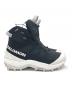SALOMONの古着・服飾アイテム：12000円