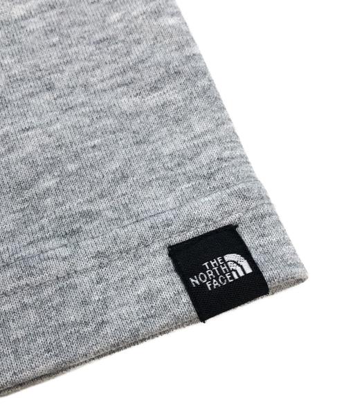 THE NORTH FACE（ザ ノース フェイス）THE NORTH FACE (ザ ノース フェイス) ショートスリーブグラビティハクバティー　半袖Tシャツ グレー サイズ:SIZE Mの古着・服飾アイテム
