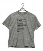 THE NORTH FACEザ ノース フェイス）の古着「ショートスリーブナショナルパークスティー」｜グレー