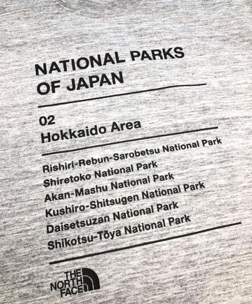 THE NORTH FACE（ザ ノース フェイス）THE NORTH FACE (ザ ノース フェイス) ショートスリーブナショナルパークスティー　半袖Tシャツ グレー サイズ:Lの古着・服飾アイテム
