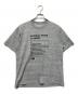 THE NORTH FACE（ザ ノース フェイス）の古着「ショートスリーブナショナルパークスティー　半袖Tシャツ」｜グレー