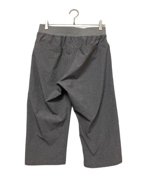 THE NORTH FACE（ザ ノース フェイス）THE NORTH FACE (ザ ノース フェイス) トレーニングリブクロップドパンツ グレー サイズ:Lの古着・服飾アイテム