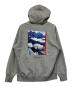 THE NORTH FACE (ザ ノース フェイス) プルオーバーパーカー グレー サイズ:L：8000円