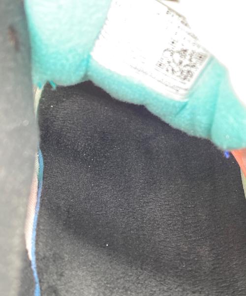 NIKE（ナイキ）NIKE (ナイキ) ローカットスニーカー レインボー サイズ:28の古着・服飾アイテム