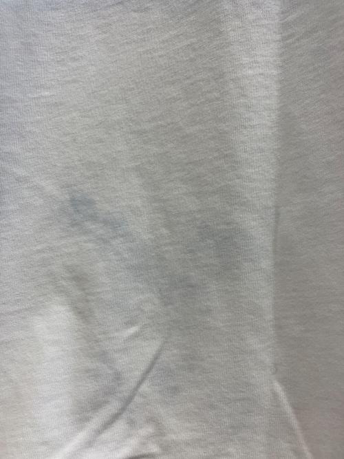 KENZO（ケンゾー）KENZO (ケンゾー) S/S Gradient Embroidered Round Neck ホワイト×ブルー サイズ:XLの古着・服飾アイテム