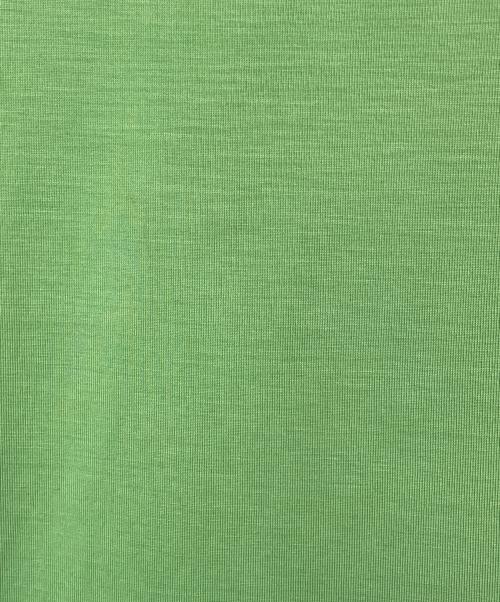 GANNI（ガニー）Ganni (ガニー) フロントプリントリンガーTシャツ グリーン×ホワイト サイズ:表記無の古着・服飾アイテム