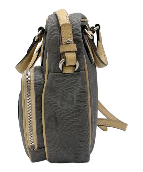 GUCCI（グッチ）GUCCI (グッチ) ショルダーバッグ グレー×ベージュの古着・服飾アイテム