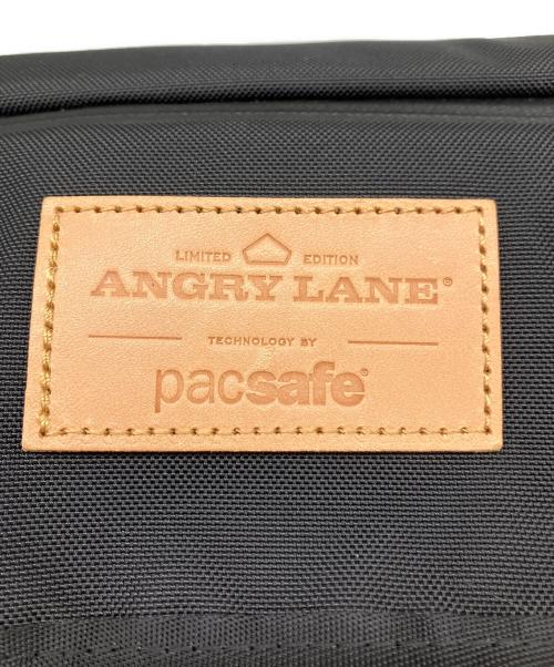 pacsafe（パックセーフ）pacsafe (パックセーフ) ANGRY LANE (アングリー レーン) リュック ブラックの古着・服飾アイテム