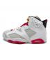 NIKE (ナイキ) Air Jordan 6 