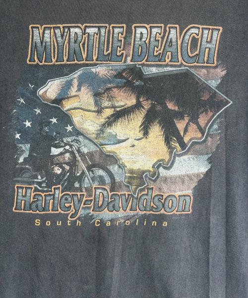 HARLEY-DAVIDSON（ハーレーダビッドソン）HARLEY-DAVIDSON (ハーレーダビッドソン) Tシャツ グレー サイズ:SIZE XLの古着・服飾アイテム
