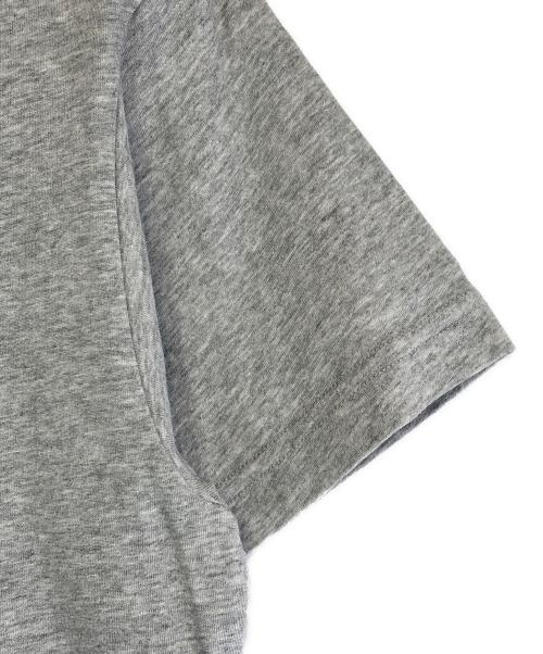 THE NORTH FACE（ザ ノース フェイス）THE NORTH FACE (ザ ノース フェイス) 半袖カットソー ライトグレー サイズ:SIZE Mの古着・服飾アイテム