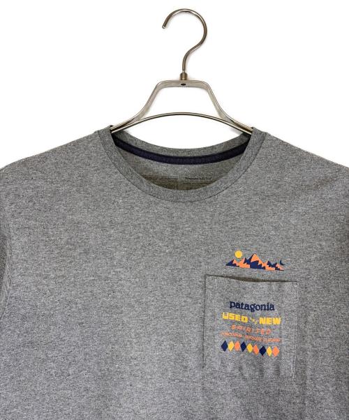 Patagonia（パタゴニア）Patagonia (パタゴニア) 半袖カットソー グレー サイズ:SIZE XSの古着・服飾アイテム