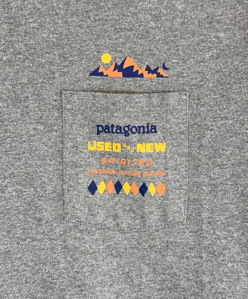 Patagonia（パタゴニア）Patagonia (パタゴニア) 半袖カットソー グレー サイズ:SIZE XSの古着・服飾アイテム