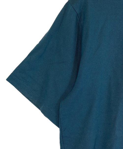 THE NORTH FACE（ザ ノース フェイス）THE NORTH FACE (ザ ノース フェイス) 半袖カットソー グリーン サイズ:SIZE Mの古着・服飾アイテム