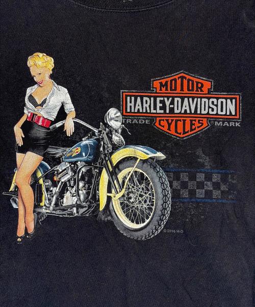 HARLEY-DAVIDSON（ハーレーダビッドソン）HARLEY-DAVIDSON (ハーレーダビッドソン) プリントTシャツ ブラック サイズ:不明の古着・服飾アイテム