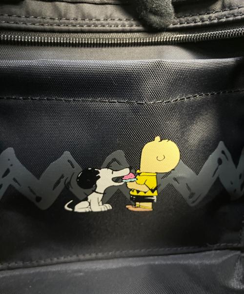 Manhattan Portage（マンハッタンポーテージ）Manhattan Portage (マンハッタンポーテージ) PEANUTS (ピーナッツ) ミニトートバッグ ブラックの古着・服飾アイテム
