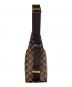 LOUIS VUITTON (ルイ ヴィトン) ボディーバッグ：80000円