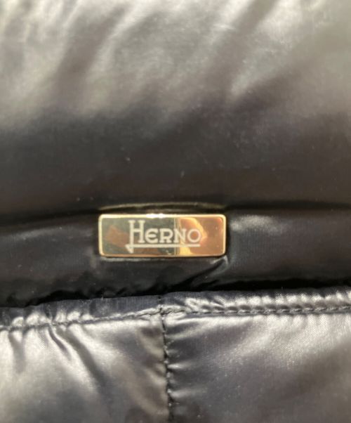 HERNO（ヘルノ）HERNO (ヘルノ) ダウンコート ブラック サイズ:Lの古着・服飾アイテム