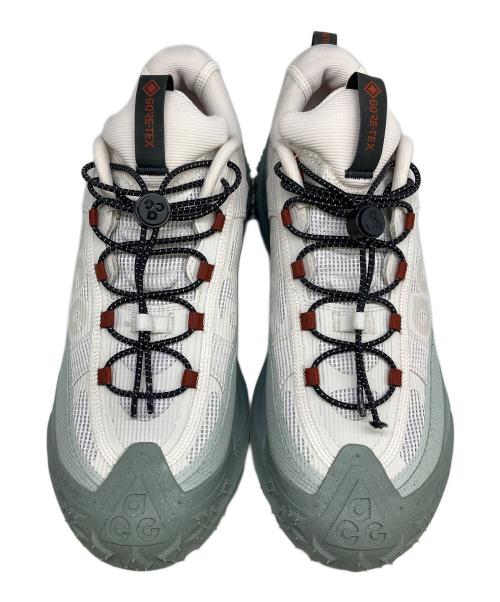 NIKE ACG（ナイキエーシージー）NIKE ACG (ナイキエーシージー) MOUNTAIN FLY 2 LOW GTX グレー サイズ:SIZE 28.5cmの古着・服飾アイテム