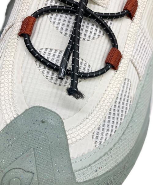 NIKE ACG（ナイキエーシージー）NIKE ACG (ナイキエーシージー) MOUNTAIN FLY 2 LOW GTX グレー サイズ:SIZE 28.5cmの古着・服飾アイテム