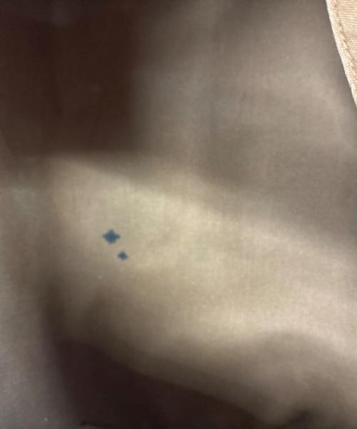 LOUIS VUITTON（ルイ ヴィトン）LOUIS VUITTON (ルイ ヴィトン) ハンドバッグ ブラウンの古着・服飾アイテム