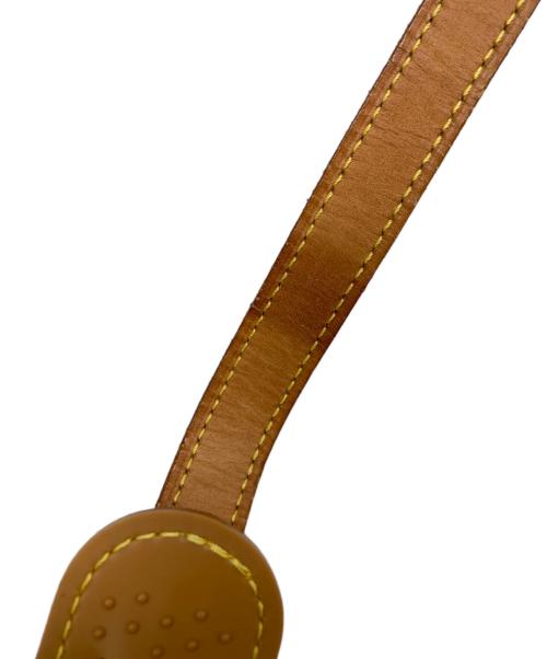 LOUIS VUITTON（ルイ ヴィトン）LOUIS VUITTON (ルイ ヴィトン) ショルダーバッグ　ソローニュの古着・服飾アイテム