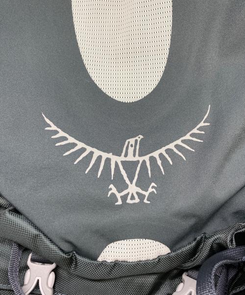 OSPREY（オスプレー）OSPREY (オスプレー) バックパック グレー 未使用品の古着・服飾アイテム