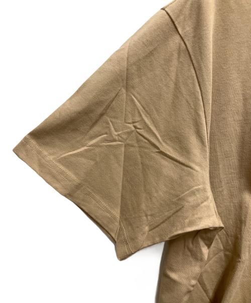 THE NORTH FACE（ザ ノース フェイス）THE NORTH FACE (ザ ノース フェイス) Supreme (シュプリーム) 半袖カットソー ブラウン サイズ:SIZE Mの古着・服飾アイテム