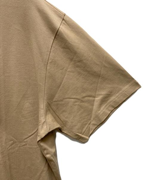 THE NORTH FACE（ザ ノース フェイス）THE NORTH FACE (ザ ノース フェイス) SUPREME (シュプリーム) 半袖カットソー ブラウン サイズ:SIZE Mの古着・服飾アイテム