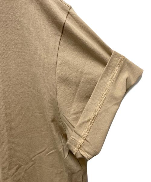 THE NORTH FACE（ザ ノース フェイス）THE NORTH FACE (ザ ノース フェイス) SUPREME (シュプリーム) 半袖カットソー ブラウン サイズ:SIZE Mの古着・服飾アイテム
