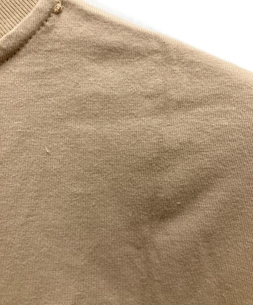 THE NORTH FACE（ザ ノース フェイス）THE NORTH FACE (ザ ノース フェイス) Supreme (シュプリーム) 半袖カットソー ブラウン サイズ:SIZE Mの古着・服飾アイテム