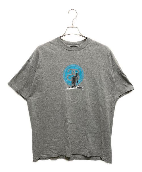 stussy（ステューシー）stussy (ステューシー) 半袖カットソー グレー サイズ:SIZE XLの古着・服飾アイテム