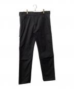 LEVI'S PReMIUMリーバイス プレミアム）の古着「ペインターパンツ」｜ブラック