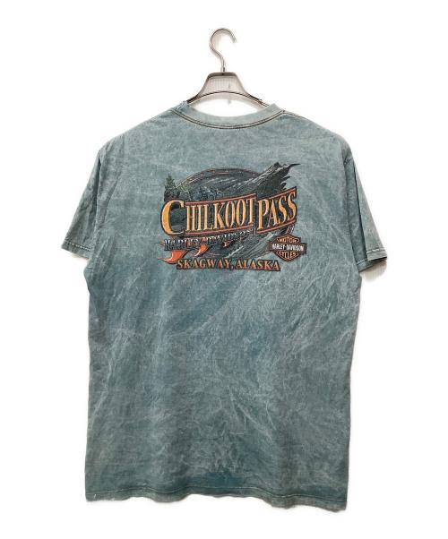 HARLEY-DAVIDSON（ハーレーダビッドソン）HARLEY-DAVIDSON (ハーレーダビッドソン) SKAGWAY ALASKATシャツ スカイブルー サイズ:XLの古着・服飾アイテム