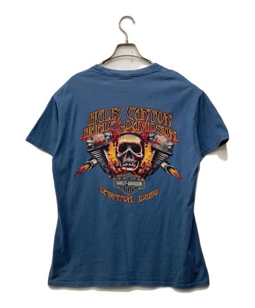 HARLEY-DAVIDSON（ハーレーダビッドソン）HARLEY-DAVIDSON (ハーレーダビッドソン) プリントTシャツ スカイブルー サイズ:不明の古着・服飾アイテム